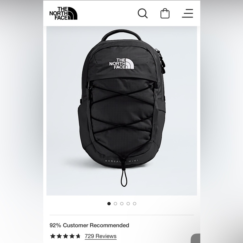 NWT The North Face Rose Gold & Black Borealis Mini Luxe Backpack